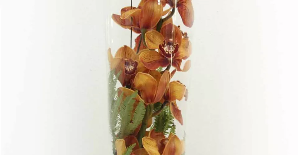 Glaszylinder Ø 24, Höhe 70cm Orchidee 65,00