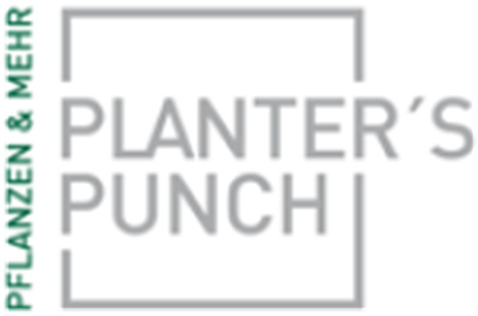 Planter S Punch